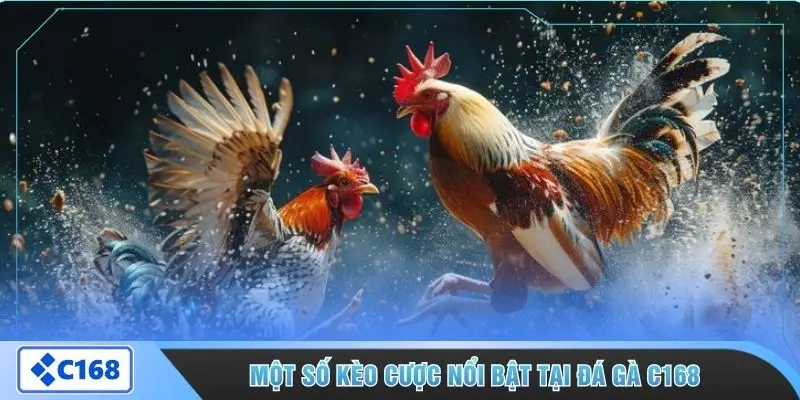 Một số kèo cược nổi bật tại đá gà C168
