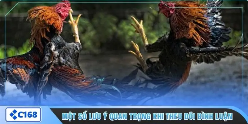 Một số lưu ý quan trọng khi theo dõi bình luận